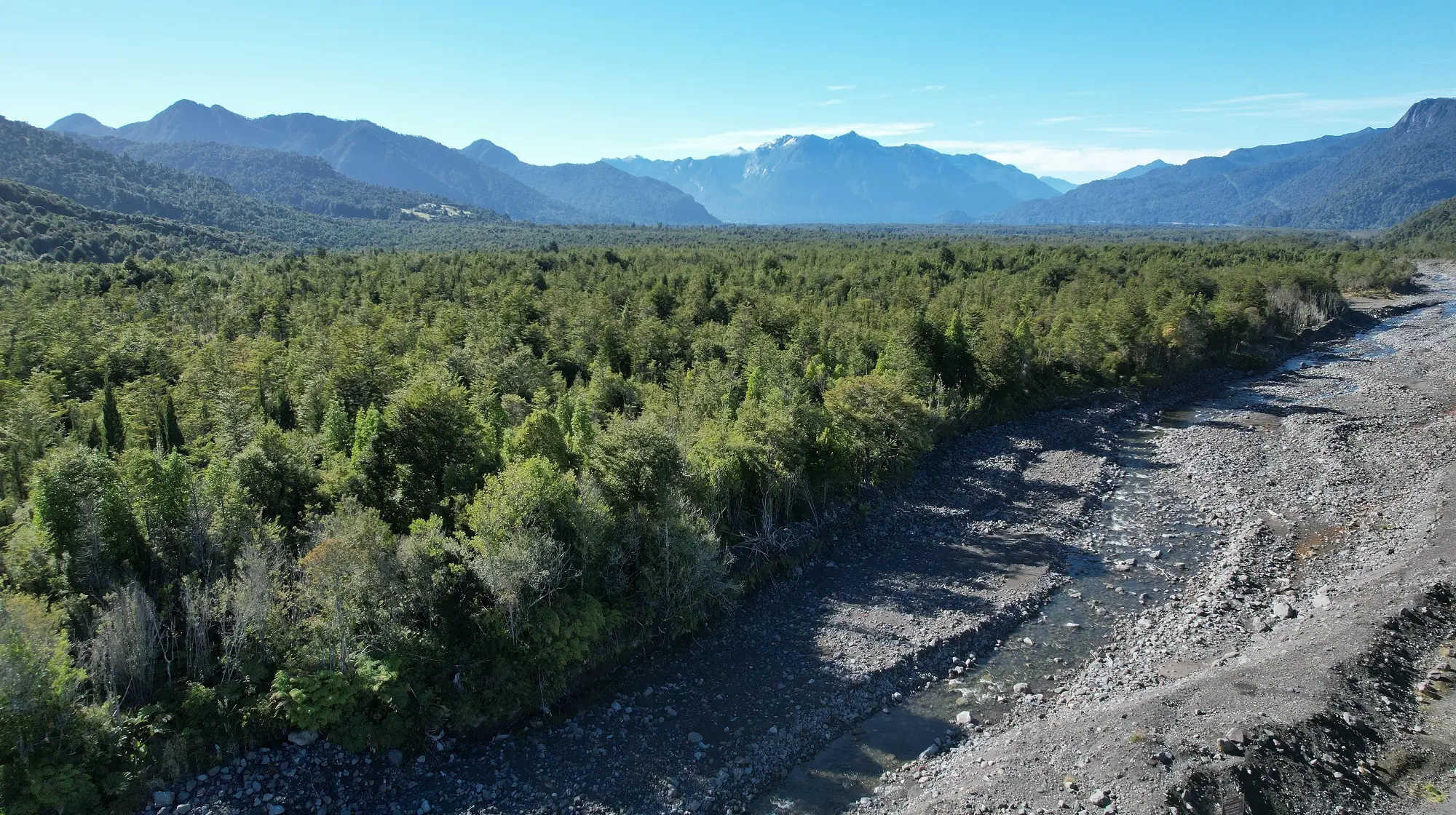 DJI_0931