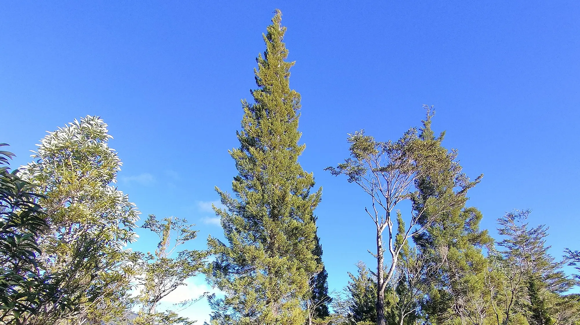 IMG20220525145540